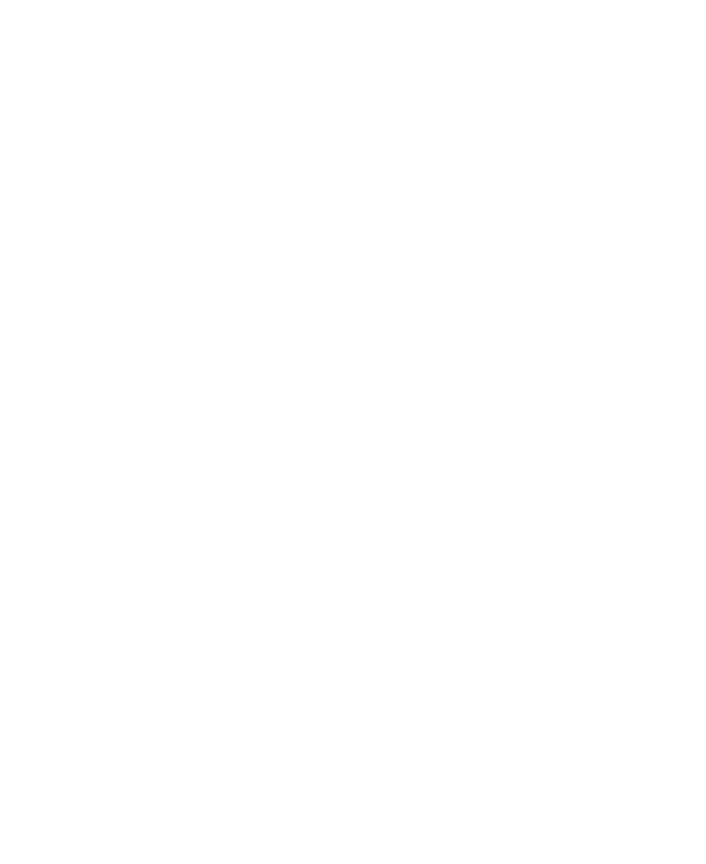 Brúnir Horse Logo